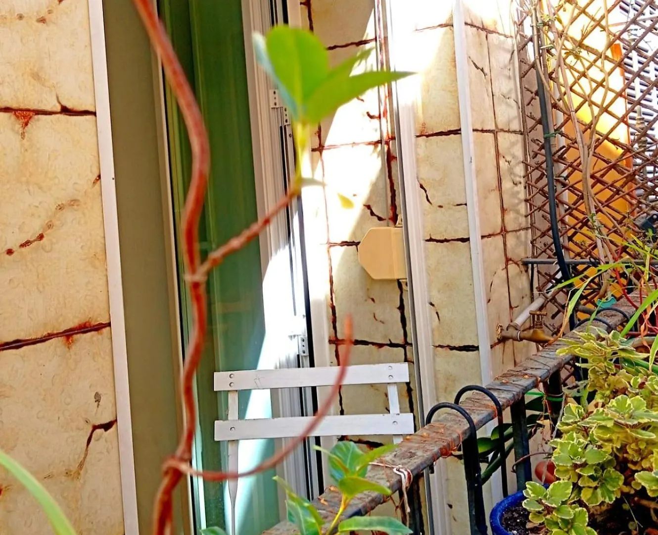 Homestay La Casa De Las Flores Seville
